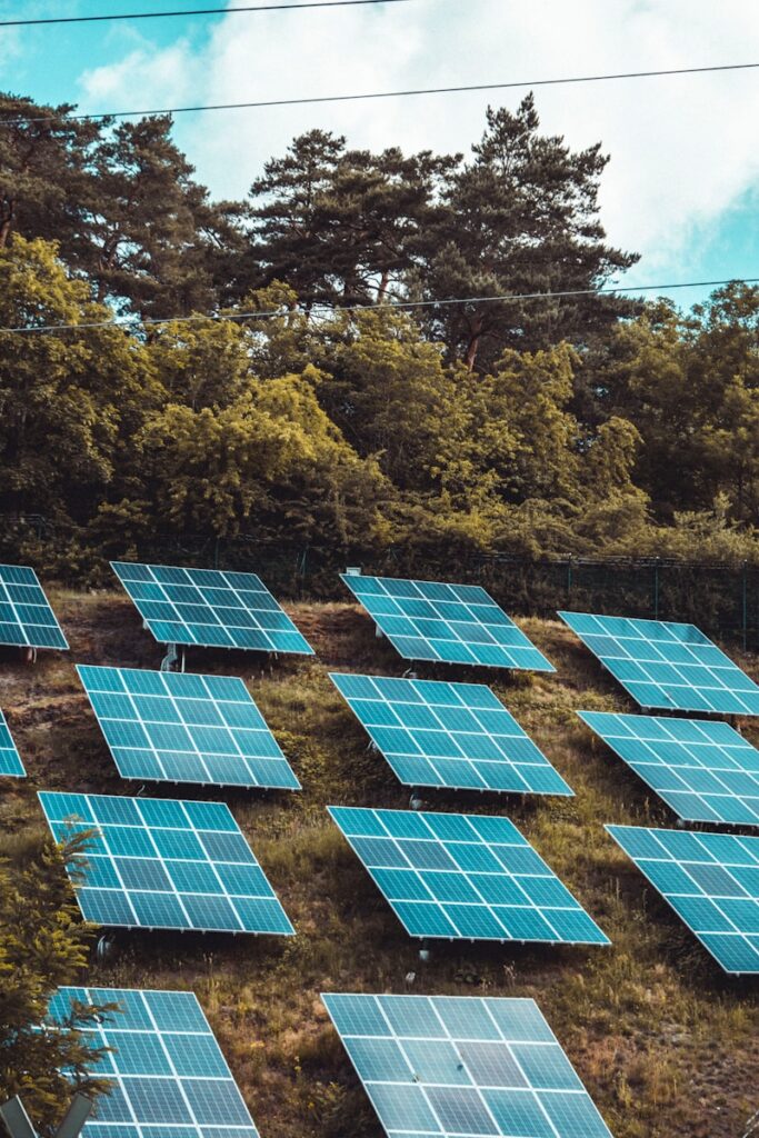 solar panels on green trees during daytime